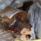 Un collecteur blessé lors de la collecte d’ordures ménagères à Thuin