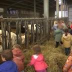 À Gerpinnes, les enfants vivent le quotidien d’une ferme familiale
