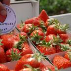 Sivry-Rance : les Fraises Chevrotines fêtent leur 5 ans