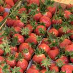 C Local : Fête de la fraise à Thirimont