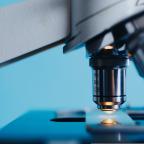 Le secteur de la chimie et des sciences de la vie prévoit 1.600 recrutements cette année