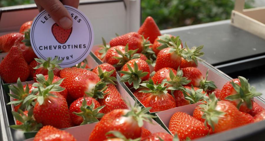 Sivry-Rance : les Fraises Chevrotines fêtent leur 5 ans
