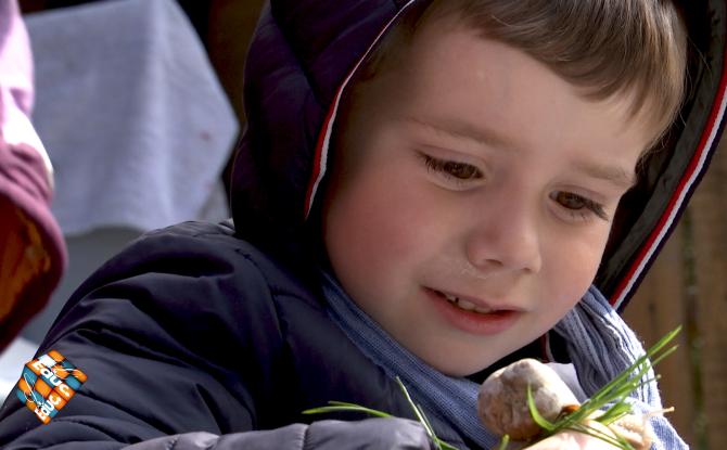 Une Education Presque Parfaite - L'école du dehors et les petites bêtes du printemps