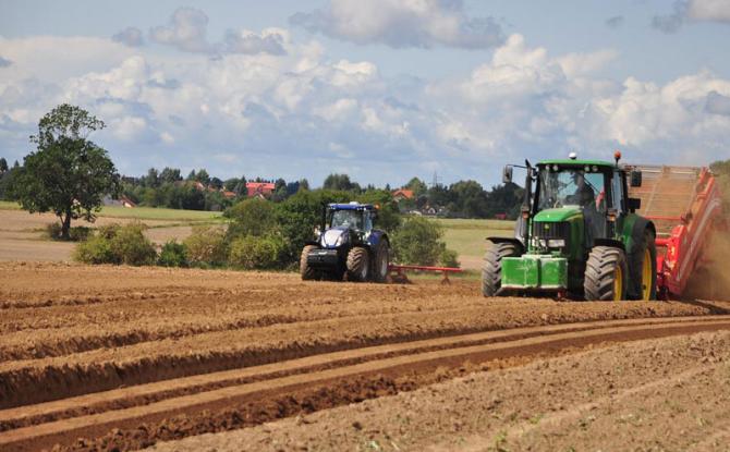 Près de 80% des sols agricoles wallons contaminés aux insecticides