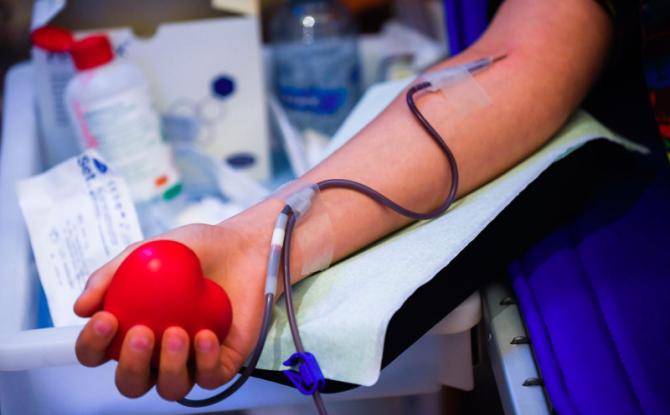 Appel "super urgent" au don de sang, dont les moustiques attaquent les stocks