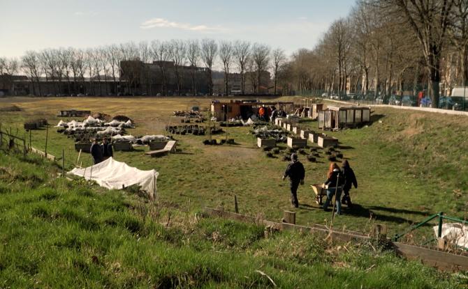 Le potager de Zoé, une véritable thérapie