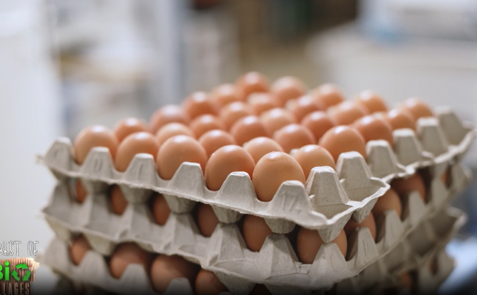 Bio Villages : Best of