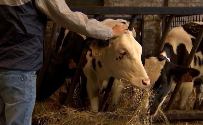 Les fermes wallonnes ouvrent leurs portes au public le week-end des 28 et 29 juin