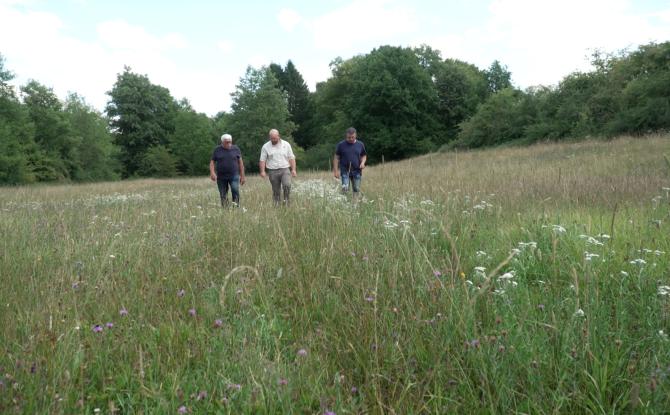 Une prairie de Salles en lice pour le concours de la plus belle prairie wallonne
