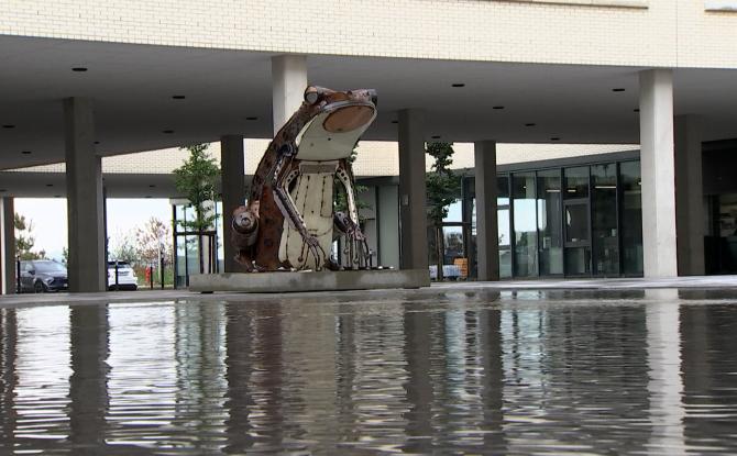Charleroi: Un crapaud protégé devenu la mascotte de l’hôpital des Viviers