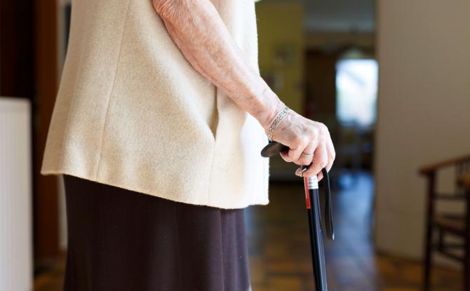 La source probable de l'épidémie à la bactérie Stec dans les homes est connue