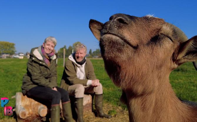 Pense-Bêtes : L'éco-sanctuaire l'Aurore à Gozée