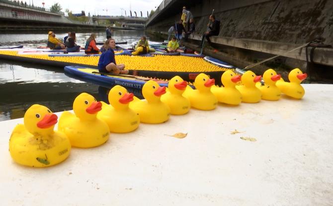 Charleroi : beau succès pour la première course caritative "Mon Canard Carolo"