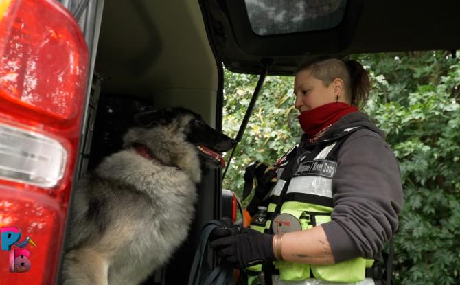 Pense-Bêtes : Les chiens de détection