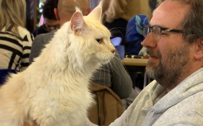 Exposition féline : entre concours et complicité