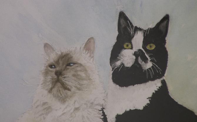 C Local : expo "Plumes et Pinceaux" des Aquarel'linnes à Solre-sur-Sambre