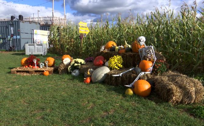 Le labyrinthe du "Grain Egaré" est en mode Halloween !