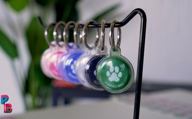 Pense-Bêtes : Proxy Toutou