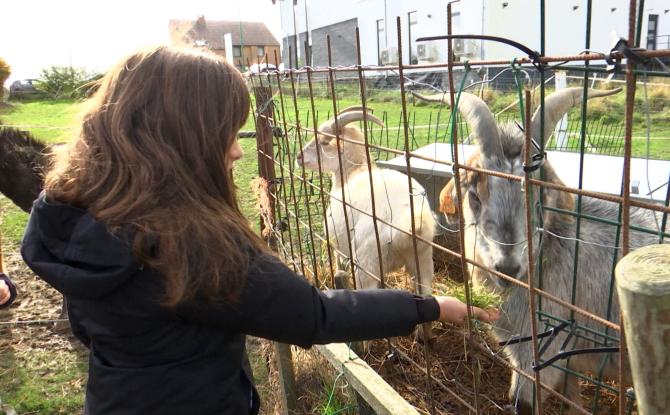 Gerpinnes: lancement du Festival 100% rural