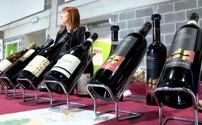 C Local : 5ème foire aux vins du Fifty-One à Beignée
