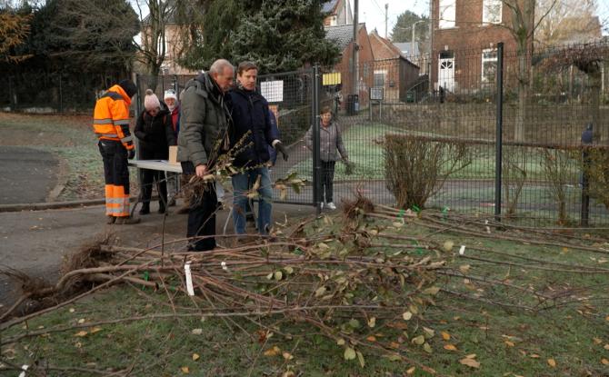 Semaine de l'Arbre: Distribution de plants et animations à Montigny-le-Tilleul