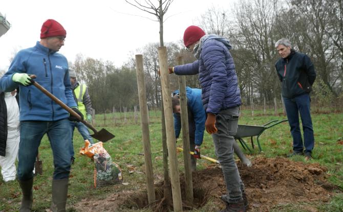 Gosselies : un team building les mains dans la terre