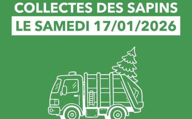 Tibi : le ramassage des sapins de Noël se fera le 17 janvier