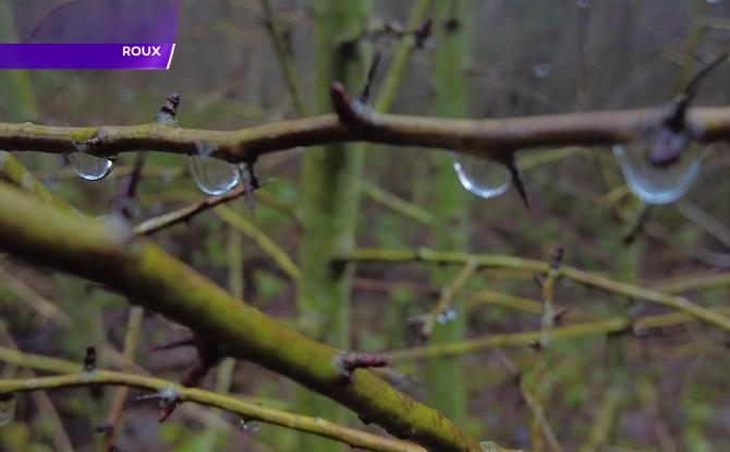 Une balade détox au cœur du passé minier du Martinet à Roux