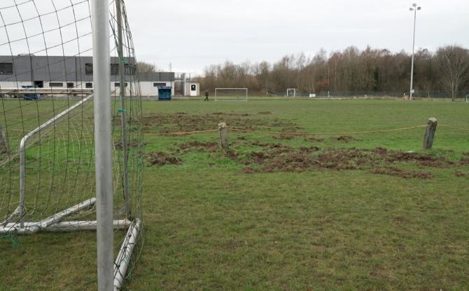 La RJS Thuin face aux dégâts causés par les sangliers