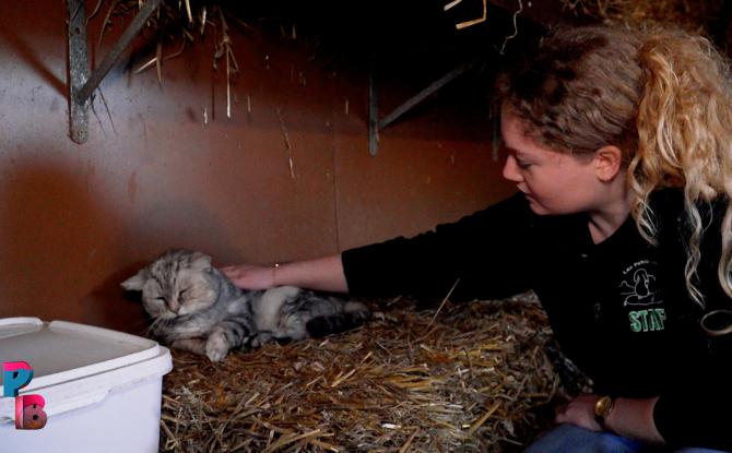 Pense-Bêtes : Le refuge "Les Petits Vieux"
