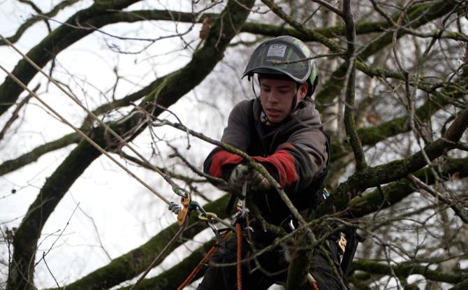 Gerpinnes : des apprentis élagueurs pour préparer le chantier du RAVeL à Gougnies
