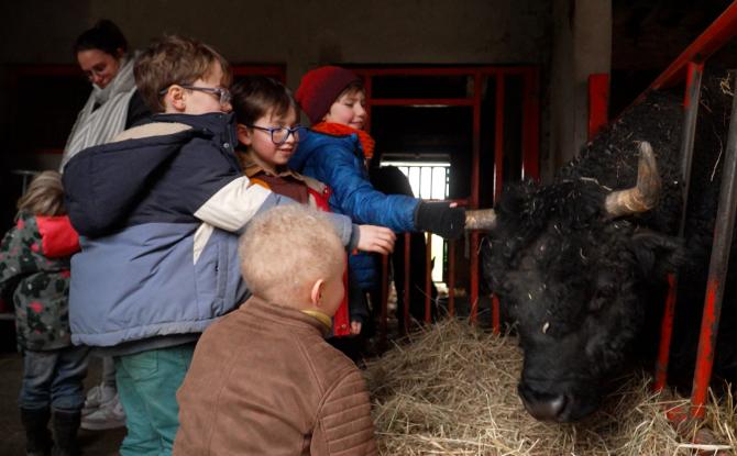 « Les semeurs de graines », une école à la ferme qui veut s’agrandir