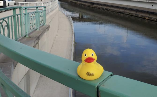 L'édition 2026 de Mon Canard Carolo est sur les rails et lance son appel à projets!