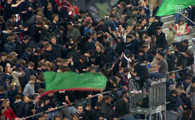 Les Zèbres dans la tourmente