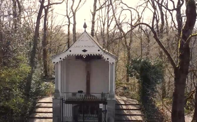 C à Découvrir : Le Bois du Grand Bon Dieu à Thuin