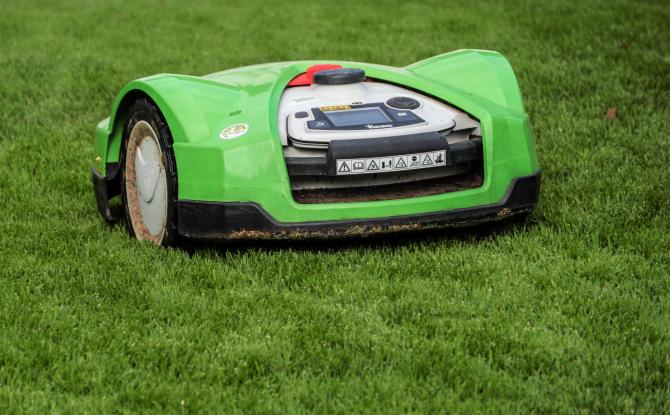 La Wallonie interdit les robots-tondeuses à certaines heures pour protéger les hérissons