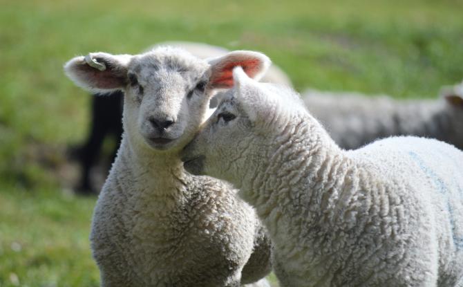 Nouvelle édition de "Rendez-vous en terre agricole", du 25 avril au 7 juin