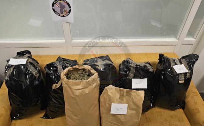 La zone de police des Trieux découvre plus de 20 kilos de cannabis!