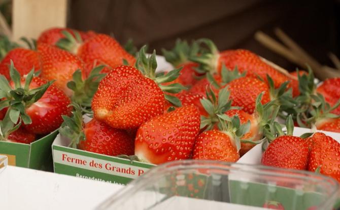 La saison des fraises et des asperges est lancée à Liberchies