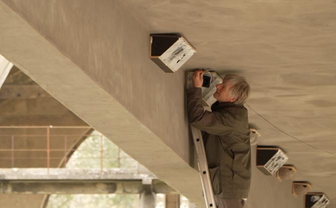 Le site du Martinet renaît : un refuge pour hirondelles et martinets