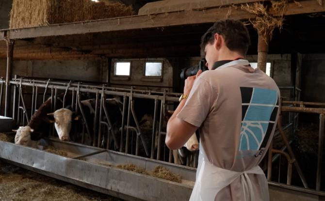 Terribles Terrils : une exposition d’étudiants de l’IHECS à la découverte de Charleroi