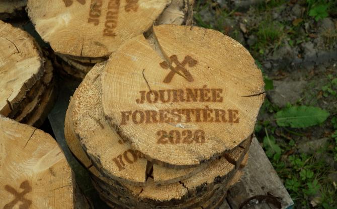 Journées forestières : les enfants plongent au cœur des métiers du bois