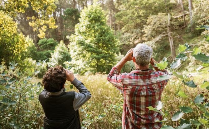 Un challenge nature lancé aux Belges pour la Semaine de la biodiversité