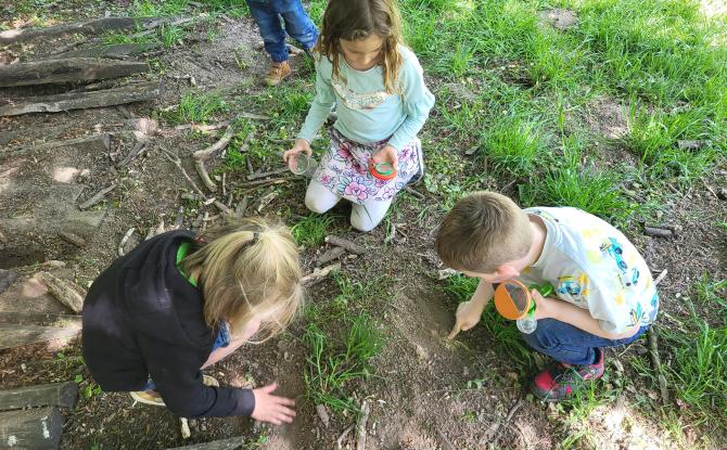 Anderlues : Havre de Nature, des animations scolaires et extrascolaires qui relient les enfants à la nature