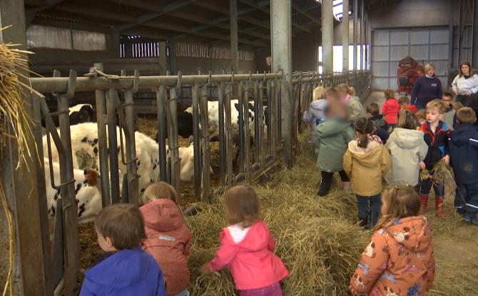 À Gerpinnes, les enfants vivent le quotidien d’une ferme familiale