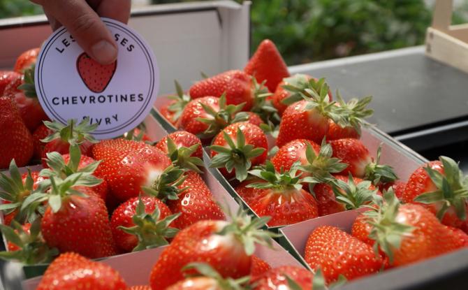 Sivry-Rance : les Fraises Chevrotines fêtent leur 5 ans