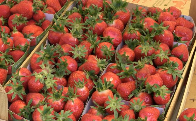 C Local : Fête de la fraise à Thirimont