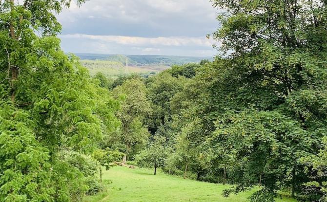 Farciennes : la gestion des bois communaux saluée par la Wallonie