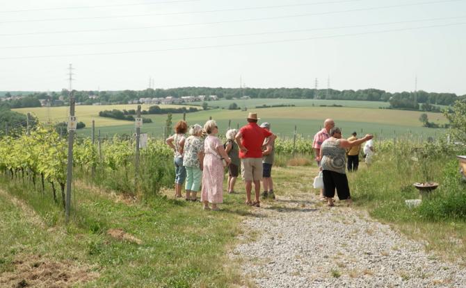 Le Domaine du Blanc Caillou a organisé sa 6ème journée portes-ouvertes