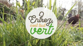 Entrez, c'est tout vert : Novembre, le mois des plantations